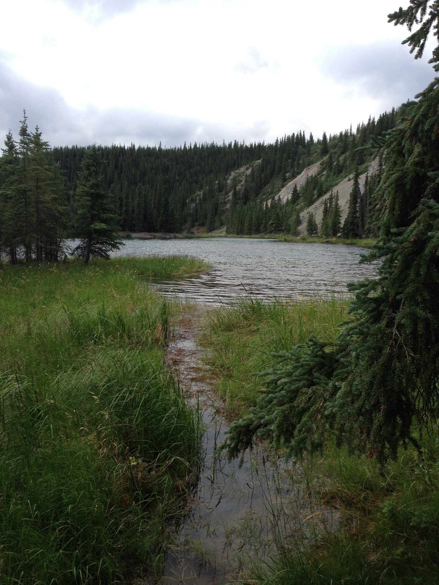Horseshoe Lake Trail